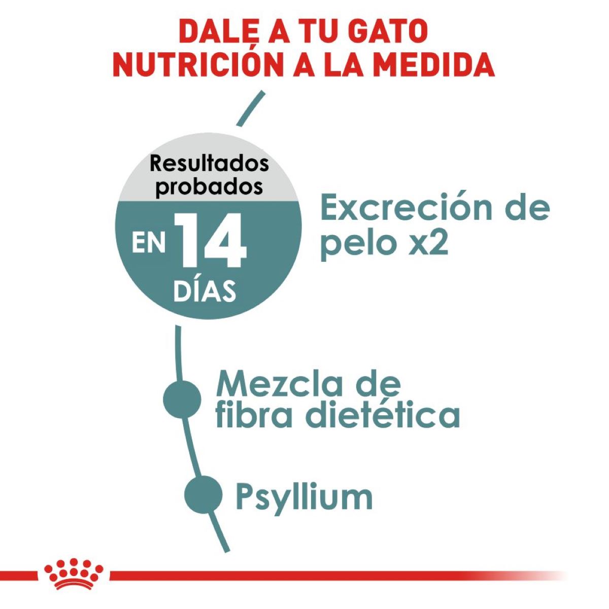 Royal Canin Indoor Intense Hairball 2.72 Kg - Alimento para gato Royal Canin Indoor Intense Hairball 2.72 Kg - Alimento para gato